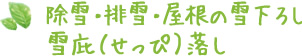 除雪・排雪・屋根の雪下ろし・雪庇（せっぴ）落し