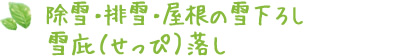 除雪・排雪・屋根の雪下ろし・雪庇（せっぴ）落し