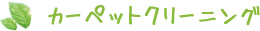 カーペットクリーニング
