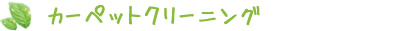 カーペットクリーニング
