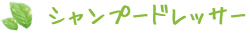 シャンプードレッサー