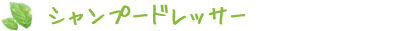 シャンプードレッサー