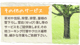 【その他のサービス】草刈や伐採、除雪、排雪、屋根の雪下ろし、雪庇（せっぴ）落し等のサービスをご提供致します。その他コーキング打替やクロス補修等、細かな作業もご依頼下さい。
