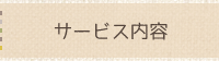（株）プロジェクトシステム【札幌市】｜サービス内容